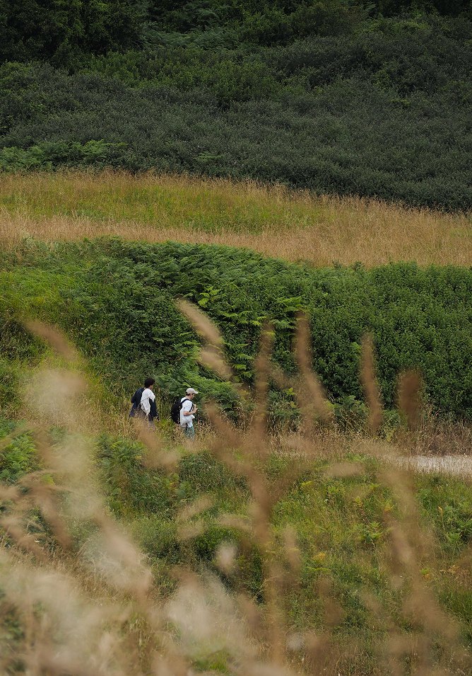 Fotografía: dos figuras caminando entre la maleza